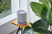 画像をギャラリービューアに読み込む, LEAF 120 (AP-C120)【販売終了】